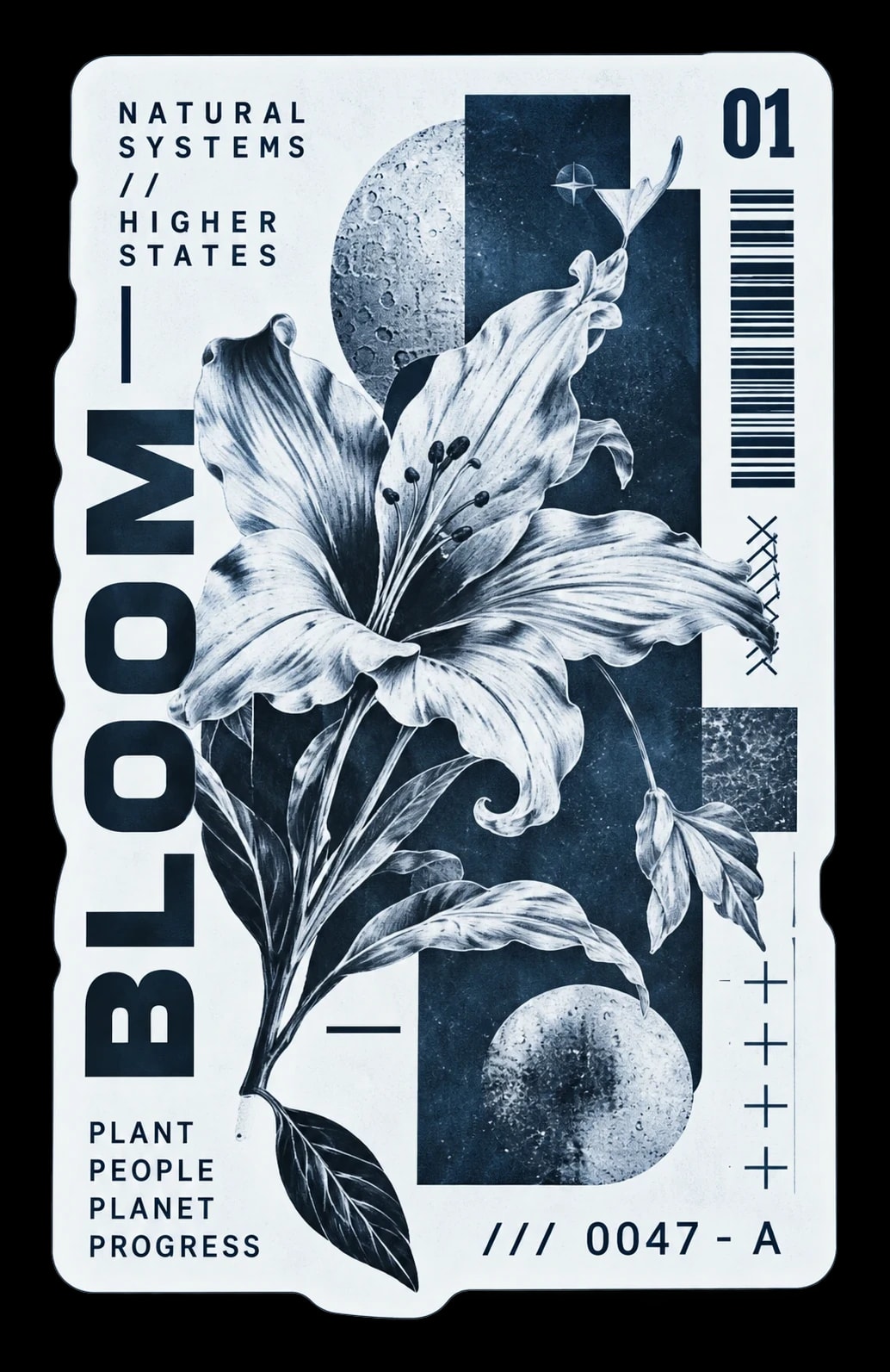 BLOOM